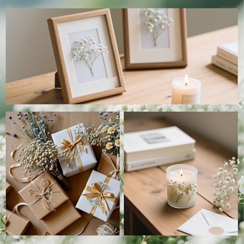 Dried Babys Breath White, 48pcs Dried Flowers for Resin