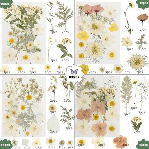 186 Pcs Dried Pressed Flowers for Resin Crafts, Real Natural Pressed Flowers and Leaves Kit Butterfly Stickers Vacuum Sealed Dry Flowers for DIY Epoxy Resin Jewelry Molds, Candle Soap Making, Nail Art