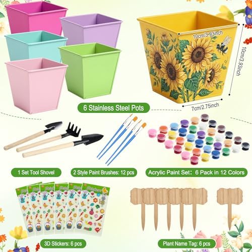 6 Sets Flower Pot Painting Kit DIY 6 Colorful Metal Iron Plant Pots Acrylic Paint Stickers Brushes Plant Labels Gardening Tool Kit for Planting Crafts Mother's Day Graduation Creative Gift