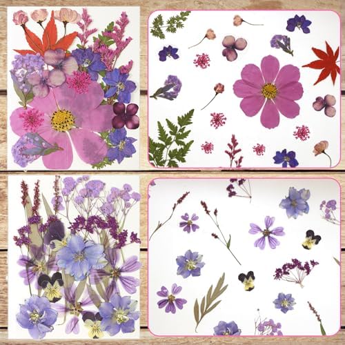 Dried Flowers for Resin Vacuum Packed DIY Pressed Flowers
