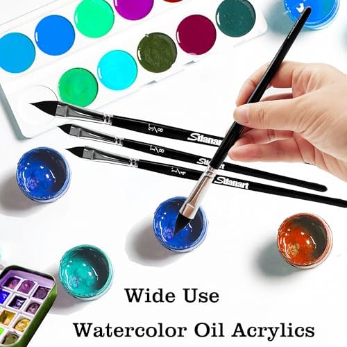 Sdanart Cat Tongue Watercolor Brushes,4 PCS Oval Wash Paint Brushes