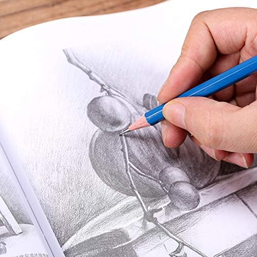 H & B 36 Pack Drawing Set Sketch Kit,Sketching Supplies with 2 sketch pad, Graphite Pencils, Charcoal Sticks, Eraser, Pro Art Drawing Kit for Artists Beginner Adults, Ideal for Shading, Blending