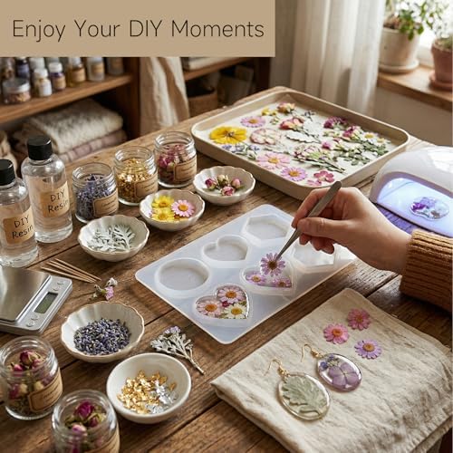 Dried Pressed Flowers Real Natural