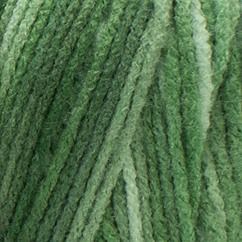 Red Heart E300.0629 Super Saver Economy Yarn, Green Tone