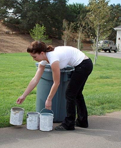 Rock Solid Paint Hardener/Solidifier (5 Gallon Pail) Powder for drying waste or leftover acrylic/latex paint, absorbs up to 31 gallons