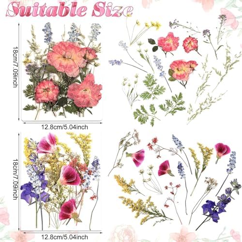 Nuanchu Real Dried Pressed Flowers for Craft Resin Molds, Cottage Garden