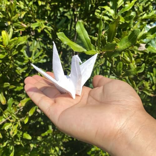Natural Fiber Mulberry Paper Sheets 6 x 6 Inches, 50 PCS Handmade Craft Paper for Origami, Scrapbooking, Card Making, DIY Decoration, Mixed Media Art (White Color, 6x6 Inch) (Pack of 2)