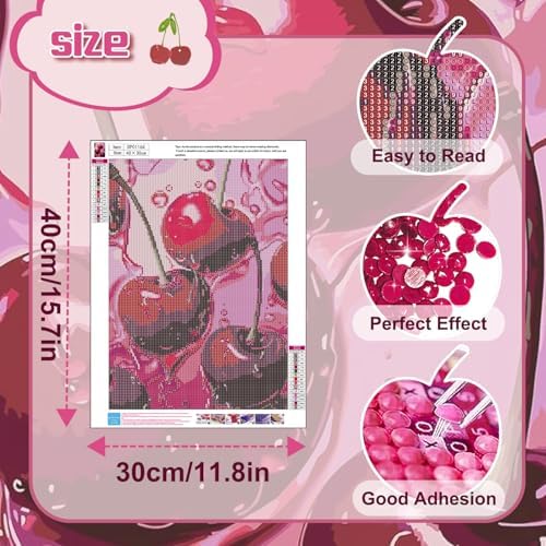 AIBOERL Diamond Art Kits for Adults，DIY Cherry Diamond Painting Wall Decor | Round Drill Vintage Cherry Diamond Painting for Beginners DIY Rhinestone 5D Diamond dots(Gemstone Craft)Wall Art Gift 12x16IN