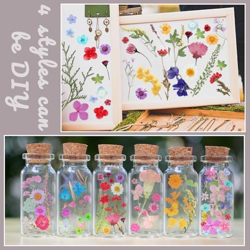Nuanchu Vibrant Tiny Dried Pressed Flowers Wildflowers for Craft Resin Mold