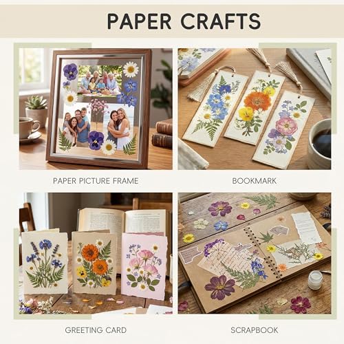 LUXEEASE 4-Color 100P Vibrant Dried Pressed Flowers