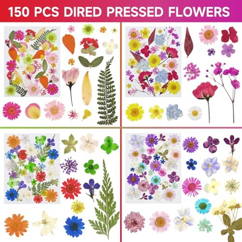 150 Pcs Pressed Flowers Bulk Dried Flower for Crafts