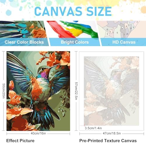 Paint by Numbers Kit for Adults, Hummingbird Acrylic Canvas Painting Set