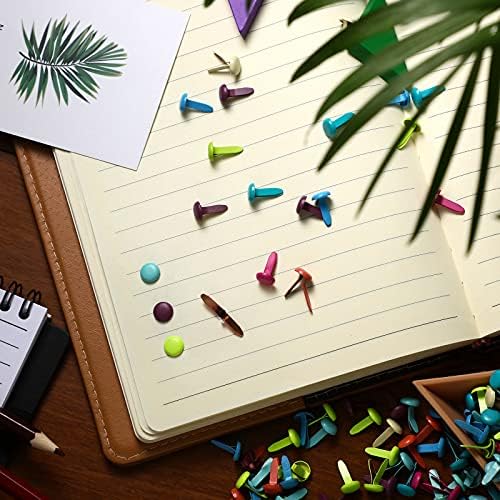 Hotop 500 Pcs Brad for Paper Crafts Metal Paper Fasteners,Multicolored
