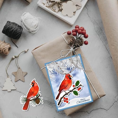GLOBLELAND Christmas Cardinal Clear Stamps for Cards Making Winter Red Birds Transparent Stamp Mistletoe Silicone Stamps Seal for Christmas DIY Scrapbooking Photo Album Decor