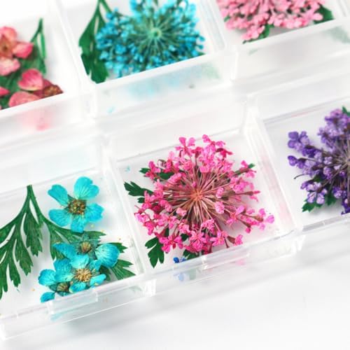 2 Boxes 3D Real Dried Flowers for Nail Art Colorful Mini Natural Gypsophila