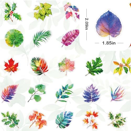 Ychsring Colorful Plant Leaf Stickers - 50 Pcs Clear PET Nature Botanical Fall Leaves Stickers for Scrapbook, Journal, Collage - Transparent Waterproof for Resin, Craft & Scrapbook Supplies