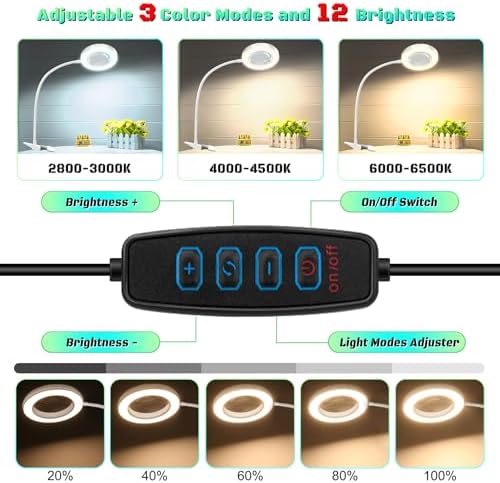 10X Magnifying Glass with Light and Stand,Hands Free Clip on Magnifier Lamp