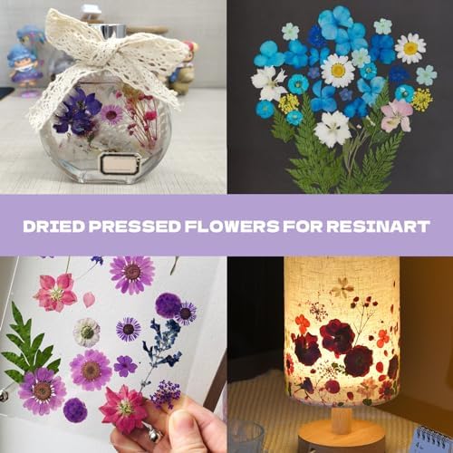 Dried Flowers for Resin 120pcs Natural Flowers and Leaves
