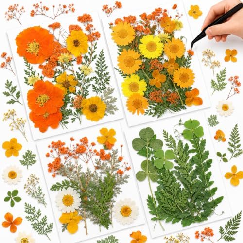 Nuanchu Real Dried Pressed Flowers for Craft Resin Molds DIY, Orange Yellow