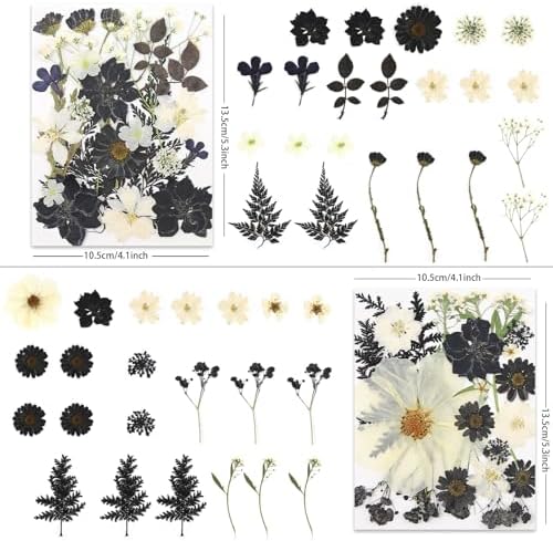 LUXEEASE 90P Halloween Black & White Dried Pressed Flowers | Gothic elegant craft accent, for resin jewelry scrapbook card candle frame party spooky decor, tweezers included