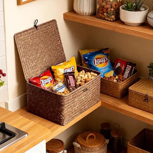 Nonam Large Wicker Basket with Lid,Seagrass Shelf Storage Basket,Coffee