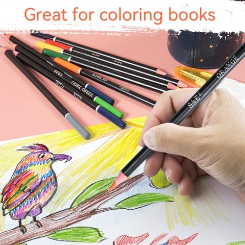 S & E TEACHER'S EDITION Colored Pencils, 240Pcs