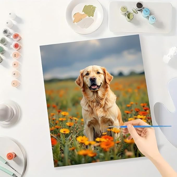 Golden Retriever Paint by Numbers Kit for Adults - DIY Dog Sitting in Orange Flower Field Painting on Canvas, Acrylic Paint Set for Beginners, Art for Home Decoration or Gifts(8X12IN Framed)