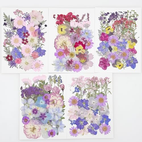 Cayway 170 PCS Real Nature Dried Pressed Flower Leaves, Pressed Flowers for Resin, Real Nature Pressing Floral Leaves for DIY Craft, Candle Scrapbooking Supplies, Purple