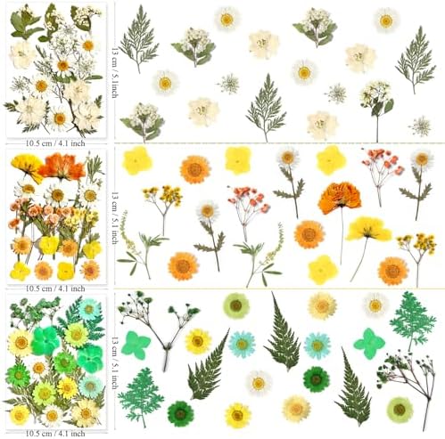 MIKIYA 182Pcs Dried Pressed Flowers for Resin Molds, Assorted Real Natural Bulk Dry Floral Leaves for DIY Art Crafts, Epoxy Jewelry, Candle, Soap Making, Nails Decors Gifts