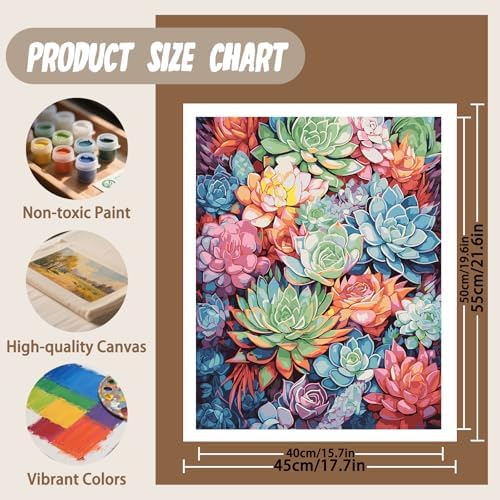 XTCIXAL Paint by Numbers Kit for Adults, Succulent, 16X20 Inch