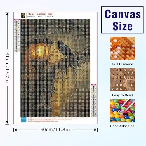 Gothic Crow Diamond Art Kits for Adults, Arts and Crafts for Adults 12x16in