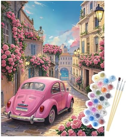 Vintage Pink Car Paint by Numbers for Adults, 16x20" DIY Rose Floral Kit