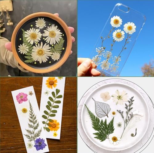 240 Pcs Dried Pressed Flowers for Resin Crafts, Real Natural Pressed Flowers and Leaves Kit Butterfly Stickers Vacuum Sealed Dry Flowers for DIY Epoxy Resin Jewelry Molds, Candle Soap Making, Nail Art