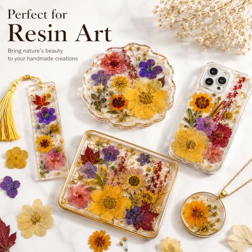 163 pcs Dried Flowers for Resin, Natural Flowers and Leaves Kit with Butterfly Stickers， Vacuum Sealed DIY Pressed Flowers for Jewelry Molds, Candle Soap Making, Scrapbook, Nail Art (Colorful-F)