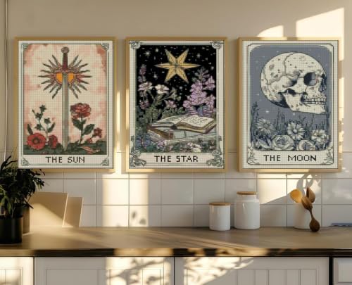 DYAIYYMQ 3 Pack Stamped Cross Stitch Kit for Adults 9.8x13.7 inch