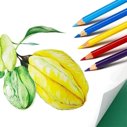 SKKSTATIONERY 50Pcs Colored Pencils | 50 Vibrant Colors, Drawing Pencils for Sketch, Arts, Coloring Books, Back to school