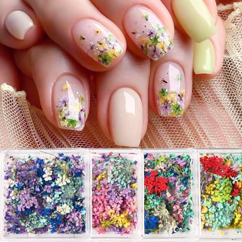 4 Boxes 3D Dried Flowers for Nails, Mini Dried Flowers Nail Stickers Decals
