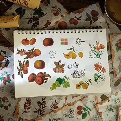 Dizdkizd Nature Botanical Stickers for Journaling, Ephemera Sticker Book, Translucent Washi Sticker for Scrapbooking - 20 Sheets (200 Pieces)