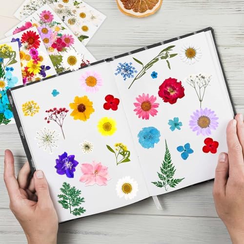 Evatage 153 Pcs Real Dried Pressed Flowers for Resin Crafts
