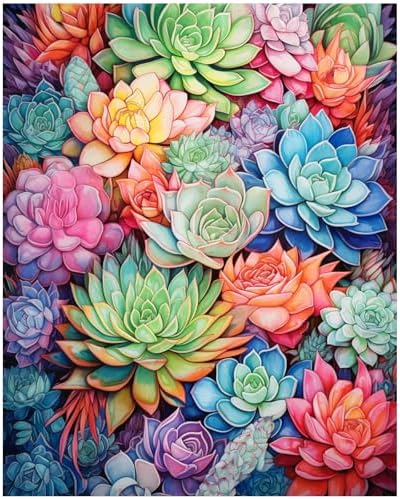 XTCIXAL Paint by Numbers Kit for Adults, Succulent, 16X20 Inch