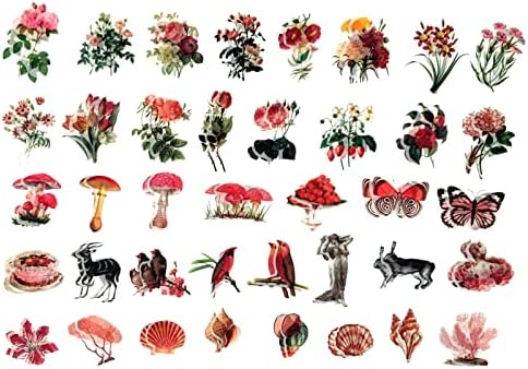 Esweny 200PCS Vintage Scrapbooking Supplies Kit for Journaling, Scrapbook Sticker Paper Pack for Junk Journal Planners Aesthetic Cottagecore Room Decor Wall Art Collage Album