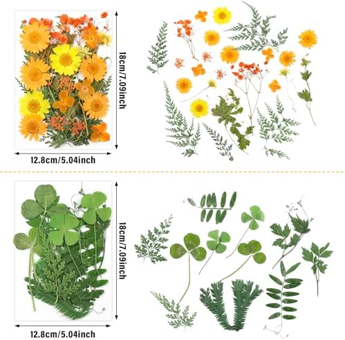 Nuanchu Real Dried Pressed Flowers for Craft Resin Molds DIY, Orange Yellow