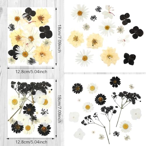 Nuanchu Black White Dried Pressed Flowers for Craft Resin, Gothic DIY Art