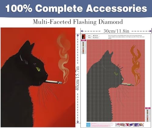 ijbnhd Black Cat Smoking Diamond Art Kits for Adults 12 X 16inch