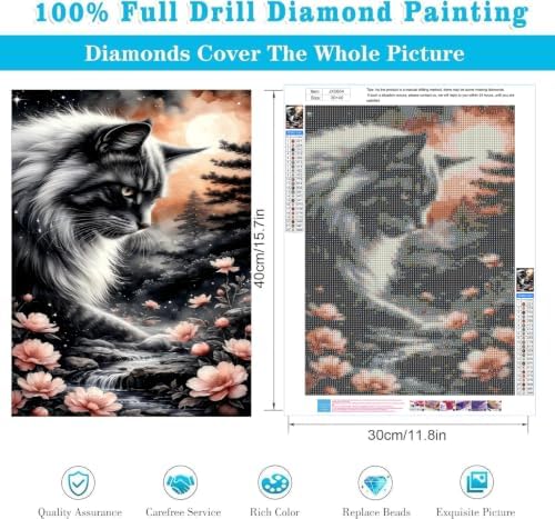 Black Cat DIY Diamond Painting Kits for Adults, Moonlight Stream Diamond Art Kits for Beginners, 5D Cat Full Drill Diamond Dot Painting Gem Art Kits for Home Wall Decor 12 x16 Inch