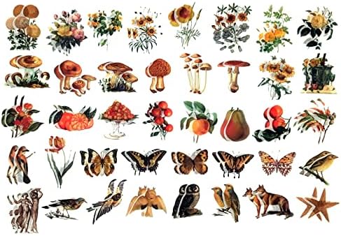 Esweny 200PCS Vintage Scrapbooking Supplies Kit for Journaling, Scrapbook Sticker Paper Pack for Junk Journal Planners Aesthetic Cottagecore Room Decor Wall Art Collage Album