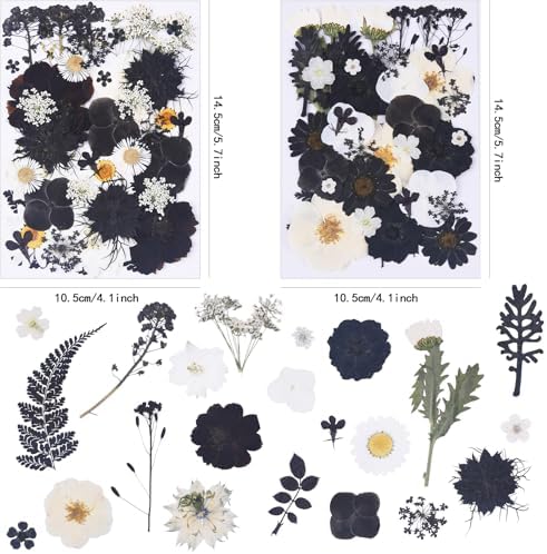 115Pcs Black Dried Pressed Flowers for Crafts,Xinxinran Dry Flowers Kit for Resin Molds,Epoxy Resin Accessories,Bookmark,Nails, Jewelry Molds,Candle Making Supplies,Soap,Frame