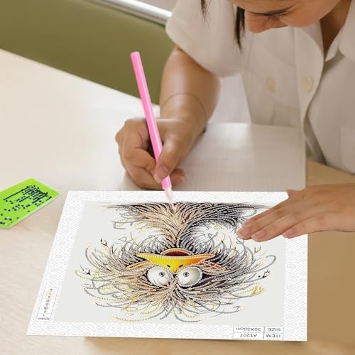 AiYuanzsh 5D Special Shape Diamond Art Kits for Beginners, Diamond Art Painting Kits for Adults, Crystal Rhinestones Diamond Art Painting for Home Wall Decoration Gift 12×12 inch, Duck
