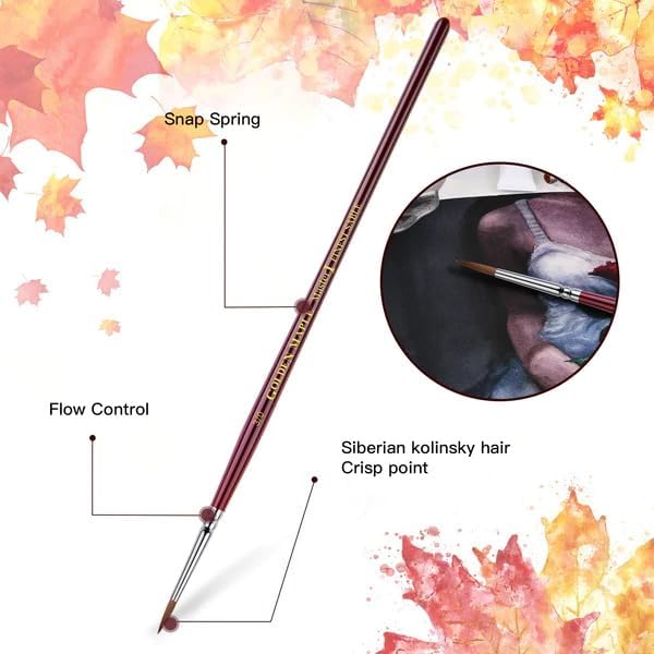 Kolinsky Sable Miniature Paint Brushes - Golden Maple Professional Ultra Fine Point Brush for Miniature, Model Painting & Watercolor Details - Size 3/0 4/0 5/0