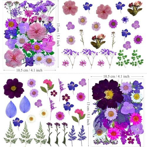 MIKIYA 54Pcs Purple Pressed Dried Flowers for Resin, Real Natural Bulk Assorted Dry Floral Leaves for DIY Art Crafts, Epoxy Molds, Jewelry, Soap, Candle Making, Nails Decors
